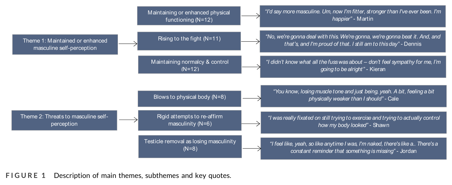 Figure 1 from Dax et al. (2024): Self-perceptions of masculinities and testicular cancer: Qualitative explorations